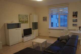 Апартаменты Cozy apartaments in Vilnius Вильнюс Апартаменты с 1 спальней-15